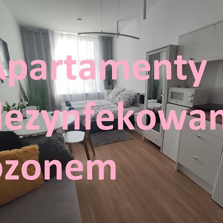 Apartament Elblag Goodenergy - Stare Miasto, Oldtown, Altstadt Dış mekan fotoğraf