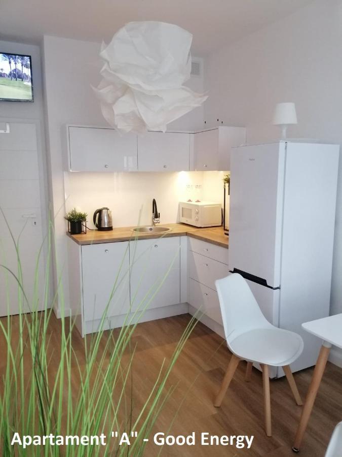 Apartament Elblag Goodenergy - Stare Miasto, Oldtown, Altstadt Dış mekan fotoğraf